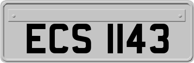 ECS1143