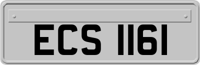 ECS1161