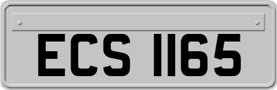 ECS1165
