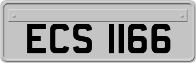 ECS1166