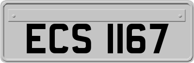 ECS1167