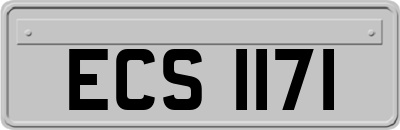 ECS1171