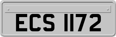 ECS1172