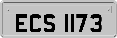 ECS1173