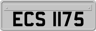ECS1175