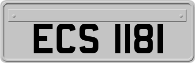 ECS1181