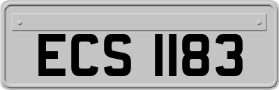 ECS1183