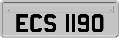 ECS1190