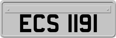 ECS1191