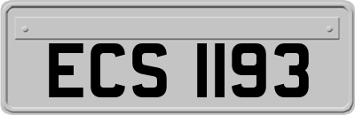 ECS1193
