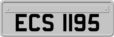 ECS1195
