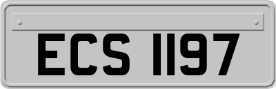 ECS1197