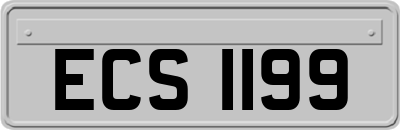 ECS1199