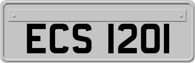 ECS1201