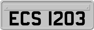 ECS1203