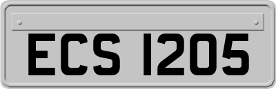ECS1205