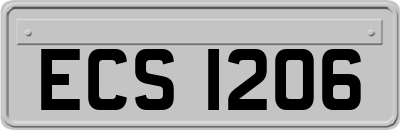 ECS1206