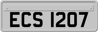 ECS1207