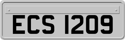 ECS1209
