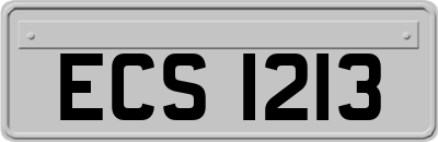 ECS1213