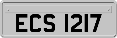 ECS1217