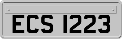 ECS1223
