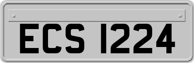ECS1224