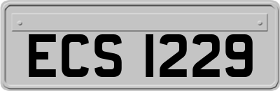 ECS1229