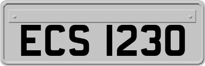 ECS1230