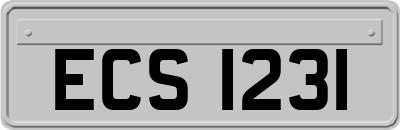 ECS1231