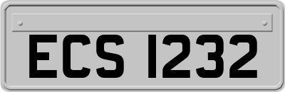 ECS1232