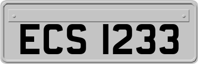 ECS1233