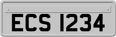 ECS1234