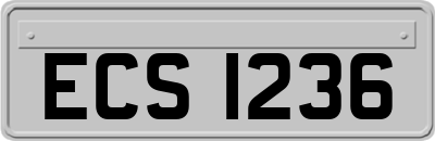 ECS1236
