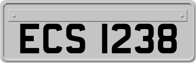 ECS1238