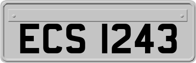 ECS1243