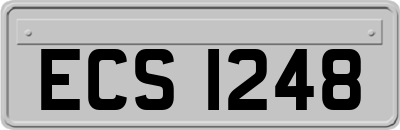 ECS1248