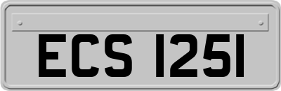 ECS1251