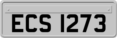 ECS1273