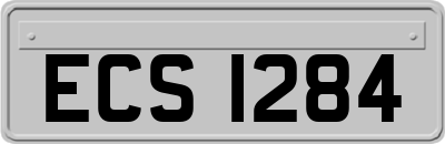 ECS1284