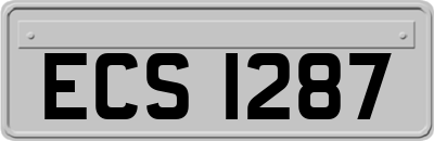 ECS1287