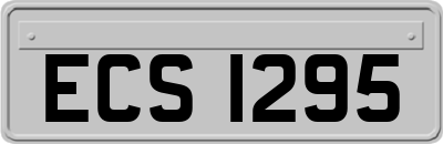 ECS1295