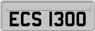 ECS1300