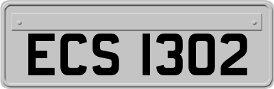 ECS1302
