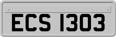 ECS1303