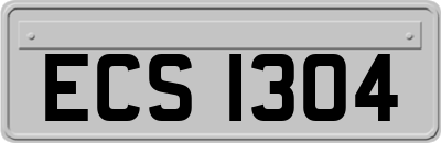 ECS1304