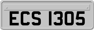 ECS1305