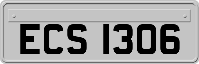 ECS1306