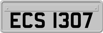 ECS1307