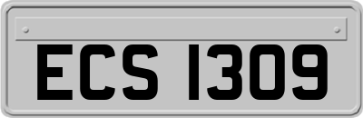 ECS1309